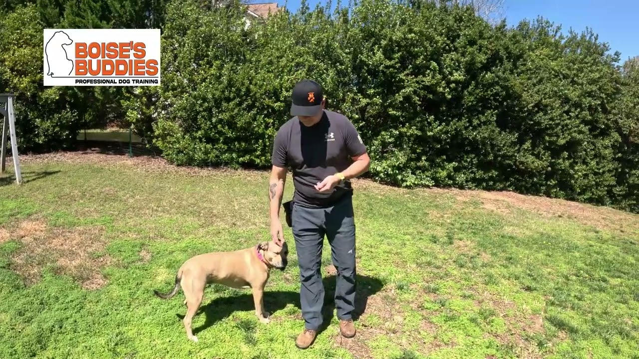 Video1