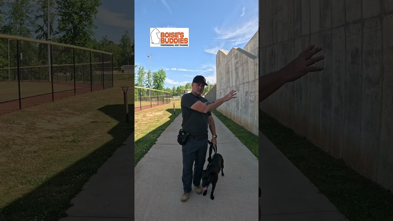 Video2
